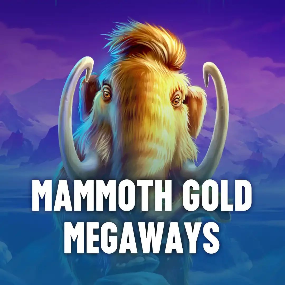 Manager apk