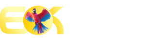 Smartsoft gaming - Kkkjogo
